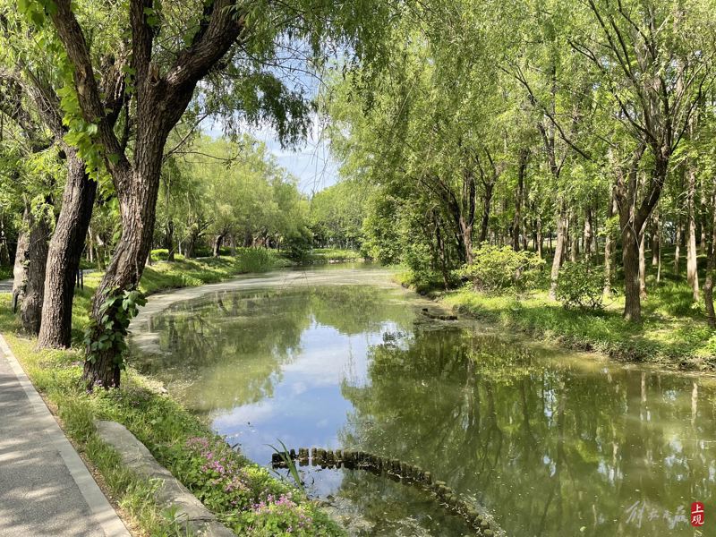 A treasure park with an underground area of nearly 40000 square meters has arrived! And the "Wizard of Oz" by Hongqiao Airport