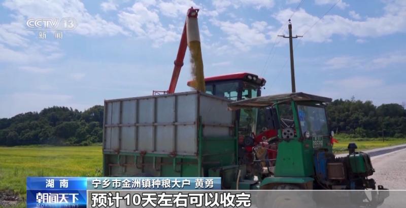 Harvesting, threshing, crushing rice stalks... Grasp the harvest of early rice in multiple areas during the harvest season | early rice | agricultural season