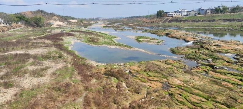 New signs of illegal sand mining in the Yangtze River Basin: Stealing sand under the guise of dredging and "ant moving" style sand theft in the Yangtze River Basin