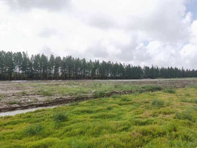 The Chongming Court team helps clear the water and green the banks, often dealing with rice and corn in their work, carrying the national emblem to the village for court sessions. Resources | Environment | Chongming Court