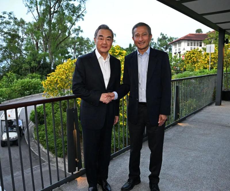 王毅会见新加坡外长维文领导人|地区|外长