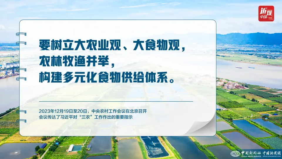 Build a diversified food supply system, Xi Jinping: Establish a big food concept