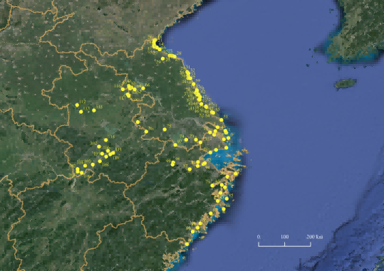 16种全球受威胁……首次长三角水鸟同步调查结果出炉,109种115万只长三角|水鸟|调查结果