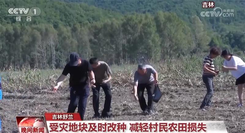 东北及京津冀地区加快灾后恢复重建生产生活秩序有序恢复秩序|农田|地区