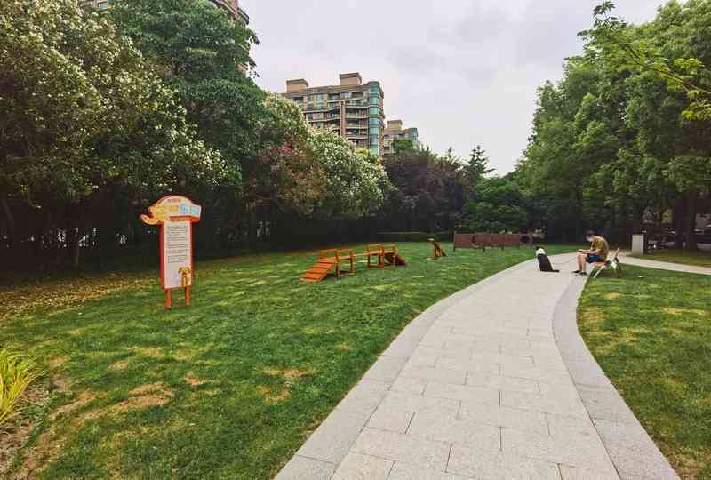 Walking dogs, opening flower shops, exploring non heritage markets... These pocket parks in Shanghai are not just about "park" life | city | pocket