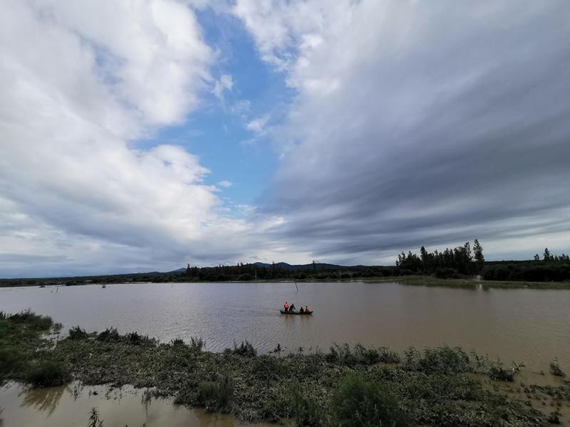 Large areas of rice fields flooded and facing crop failure, flood scene in Shangzhi, Heilongjiang Province: damage to facility agriculture flooded | Introduction | Greenhouse | Shangzhi City | Old Street | One side | Villagers | Floods