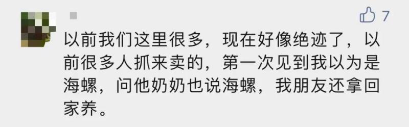 严重可致死！,杭州多地已出现！大批网友拍到它：寄生虫多达6000条粉色|村子|网友