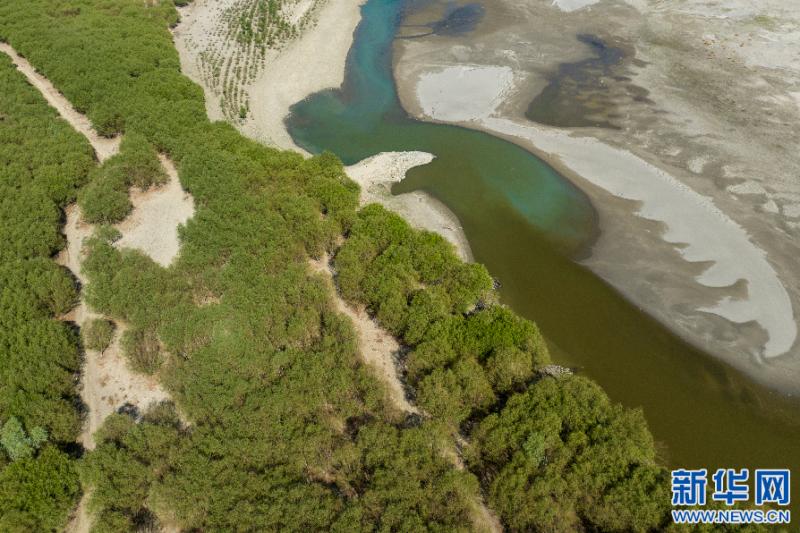 World Environment Day | Xizang: Green Yarlung and the Yarlung Zangbo River