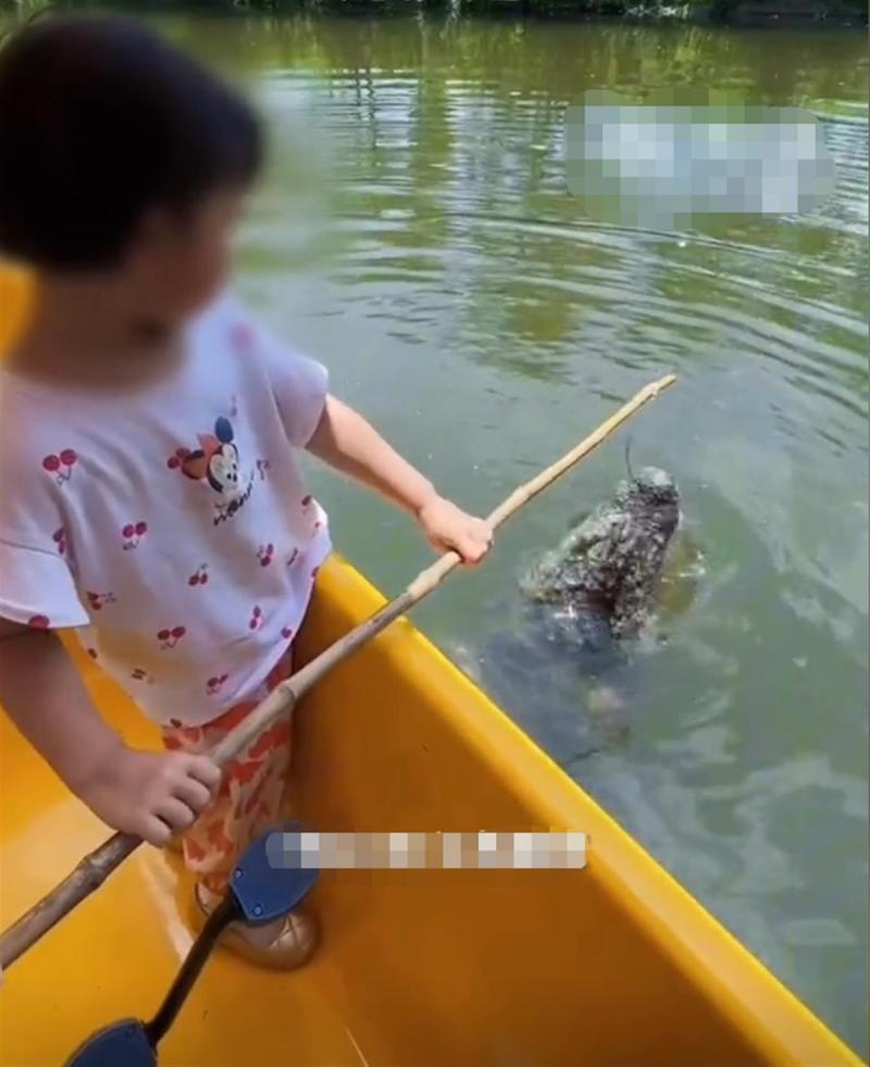 将劝导暂停,南京多部门回应“景区游客乘船喂鳄鱼”：有隐患项目|游客|部门