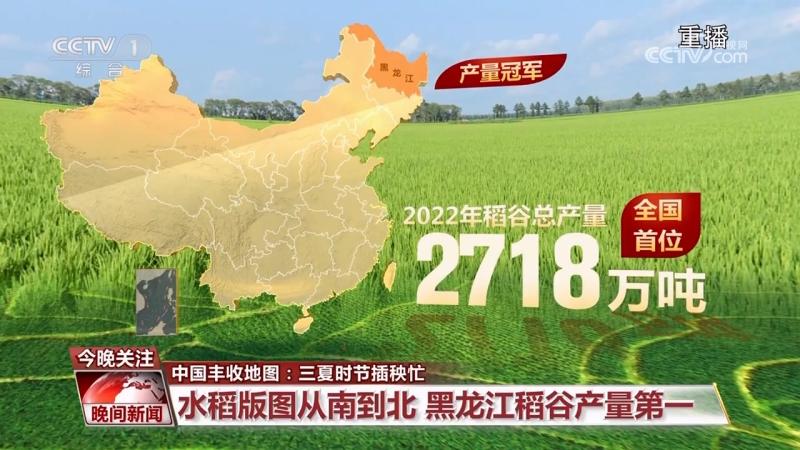 Harvest map of China: busy transplanting rice during the three summers | paddy fields | seasons