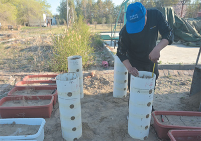 Tailored to local conditions and continuous exploration (technological perspective: following researchers to control desertification) Researchers | Gurbantunggut Desert | Technology