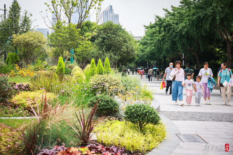 这些城市角落成为市民休憩、享受闹市幽静和惬意的“理想地”一大|10号线|市民