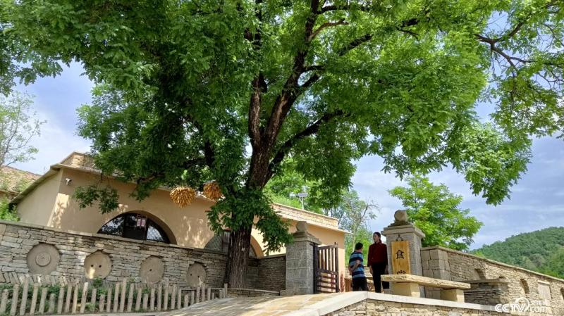 Discovering the Most Beautiful, You Evaluate Me | Yanchuan, Shaanxi: Innovating Traditional Village Protection Models to Give Homesickness a "Hometown" Seekable Style | Protection | Villages