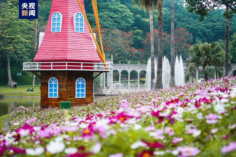 Birds chirping in countless valleys! Not to disappoint the green mountains, try to see the thousand layered green of southern Guangdong, with the fragrance of flowers in four seasons. Guangdong | Total area | Southern Guangdong