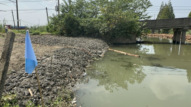 Restore the riverbank to its original state! Two rural waterways in Qingpu have been renovated, and construction waste has been salvaged and cleaned up from the surrounding areas | Rivers | Qingpu