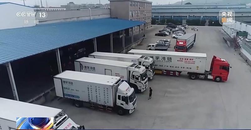 Continuously stabilizing and rebounding! In the first half of the year, the total amount of cold chain logistics in China reached 3.1 trillion yuan, a year-on-year increase of 3.7%. Facilities | Cold Chain | China