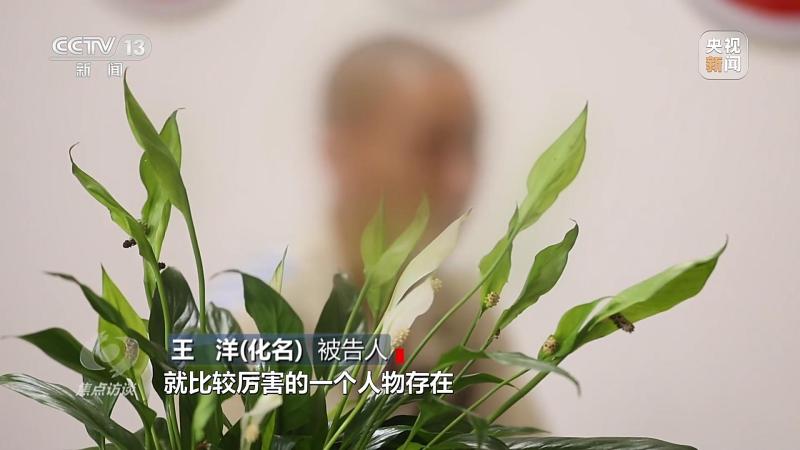 从受害人变成施害人,打打字、聊聊天就能拿高薪？遭遇电信网络诈骗的年轻人年轻人|工作|高薪