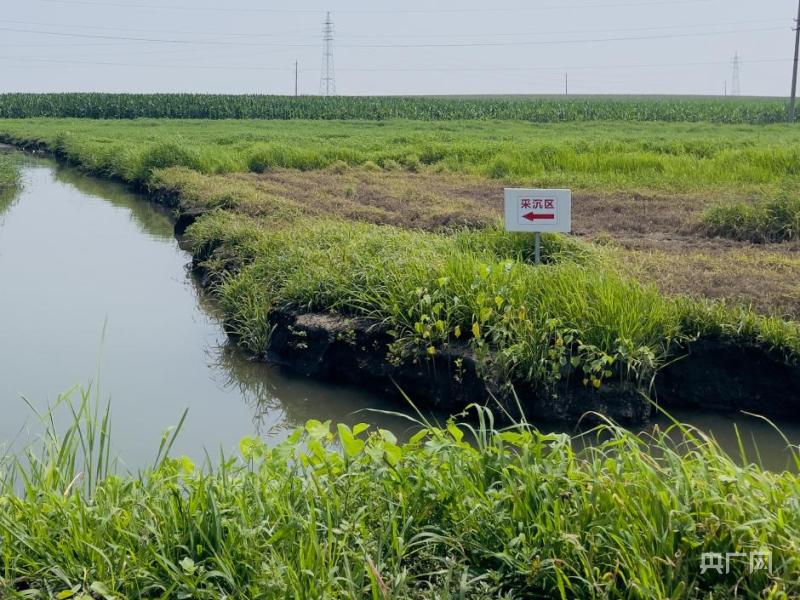 Large areas of farmland are abandoned, and some high-quality black soil in Tieling, Liaoning has been reclaimed due to coal mining subsidence | waterlogging | farmland