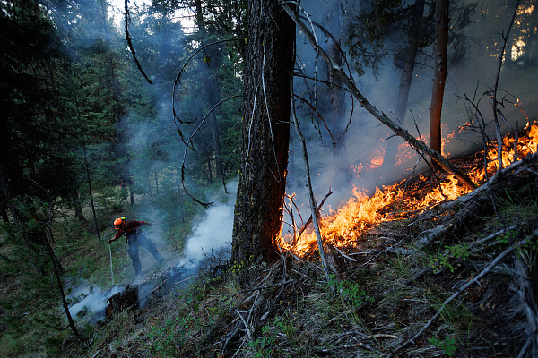 “很多人吓坏了”,野火烧不尽！全加拿大1000起林火同时发生首府|西北地区|加拿大