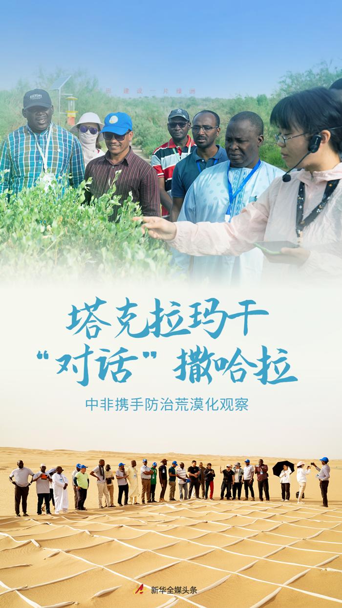 Taklamakan "Dialogue" Sahara - China Africa Joins Hands to Combat Desertification Observation Expert | Africa | Taklamakan