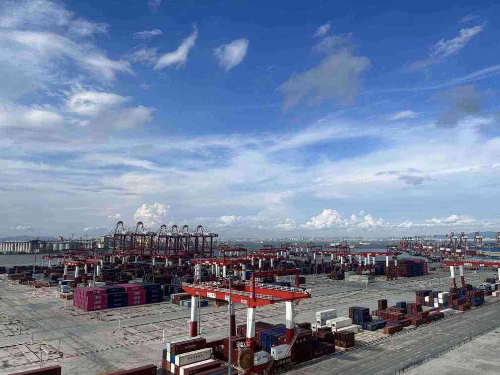 高质量发展调研行|在智慧港口见证大湾区经济活力——广州南沙港走访一线见闻港区|码头|活力
