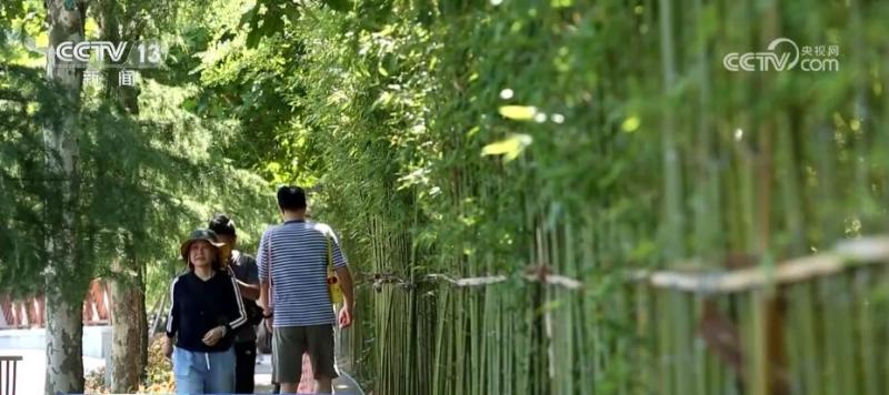 Ecological restoration of "park in the city, people in the park" transforms the former barren mountains into a "natural oxygen bar" forest park | Fushan | Restoration