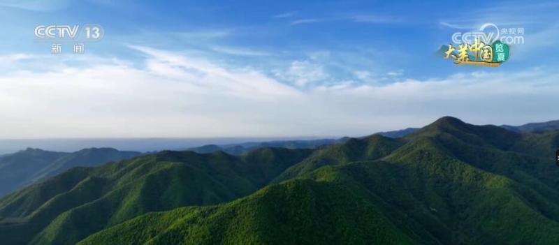 Appreciating the vast and magnificent mountains, rivers, and green mountains, painting a happy picture of Tashui River | Ecology | Picture Scroll