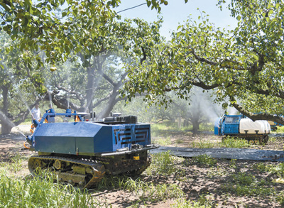 Empowering Modern Agricultural Intelligence with Digital Technology | Agriculture | Technology