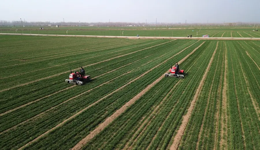 Study in Progress | General Secretary Xi Jinping and Shandong’s Story Rice Bowl | Drones | Xi Jinping