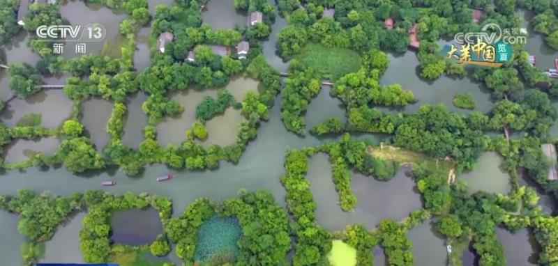 There are so many beautiful mountains and rivers to experience the charming charm of summer scenery in various places. Protection | Wetlands | Charm