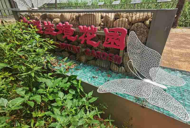 但种对乡土植物未必能“招蜂引蝶”,上海越来越多花园少了“匠气”多了生机城市|植物|生机
