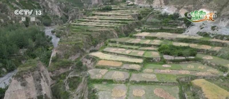 Building roads, revitalizing abandoned land, uniting and sharing, and achieving a bountiful harvest. Summer management | abandoned land | bountiful harvest