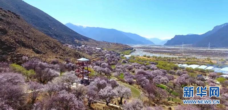 Our Home · Xizang | Nyingchi: Vigorously develop eco-tourism and characteristic industries, comprehensively promote rural revitalization of agriculture | villages and towns | eco-tourism