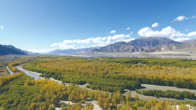 The tree watchers and tree planters in Suozhu Township are full of vitality | Gesang Flower | Tree Planters