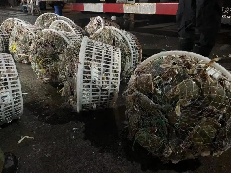 Will the price be halved immediately?, 50000 pounds of swimming crabs were snatched away! Hangcheng is crowded here: the whole family is waiting for this market | price | the whole family