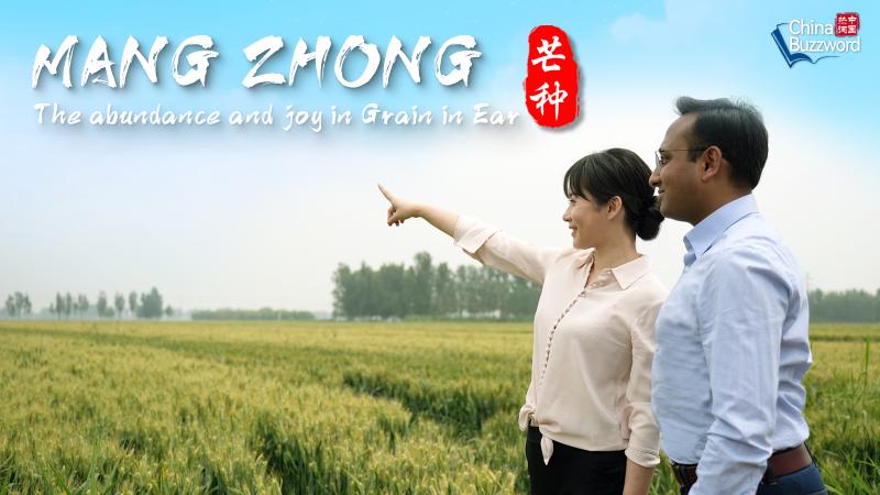 Chinese Hot Words: Enrichment and Joy in Mangzhong Journalist | Liu Jie | Joy