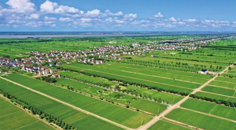 Chongming and other towns have seized the "transformation point", how can "good ecology" become a "new economy"? Crab, Rice, Homestay Chongming District | Ecology | Economy