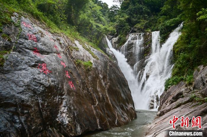 Guangdong makes every effort to create the Nanling Mountain National Park to boost green beauty Guangdong's ecological construction Guangdong Province | Guangdong | China