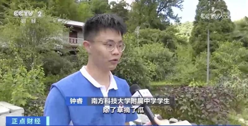 这项旅游火了,订单排到了8月”,销量暴增400%！“人均约4000元游戏|主题|订单