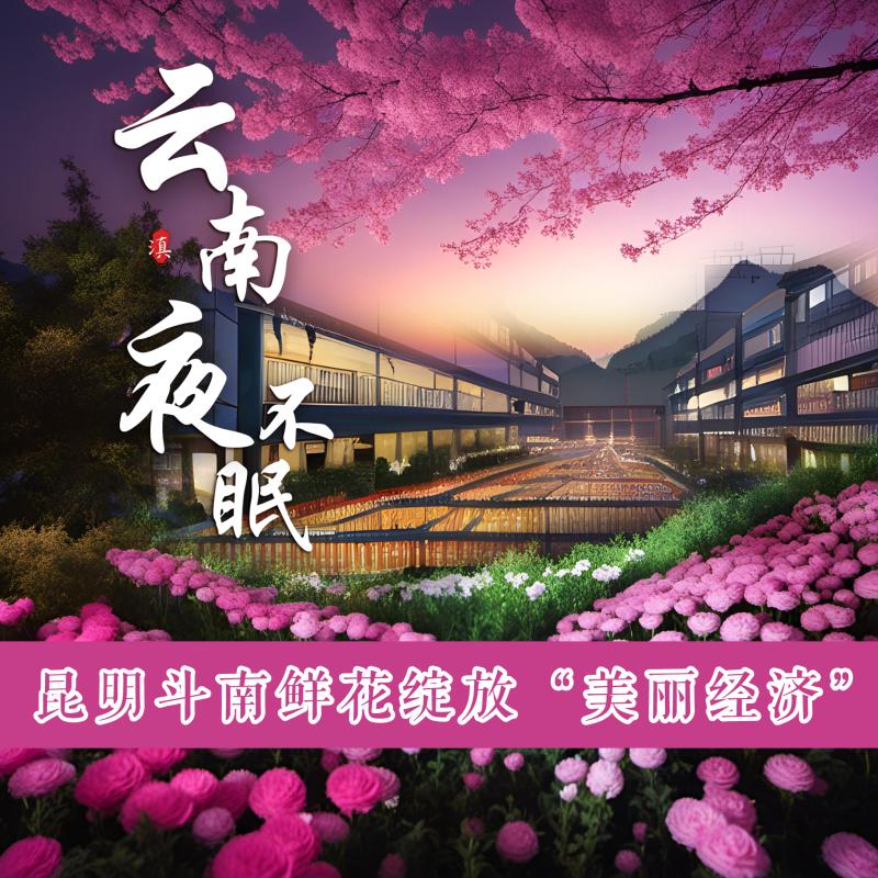 Yunnan Sleepless Night | Kunming Dounan Flowers Bloom "Beautiful Economy" Flower Market | Flowers | Economy