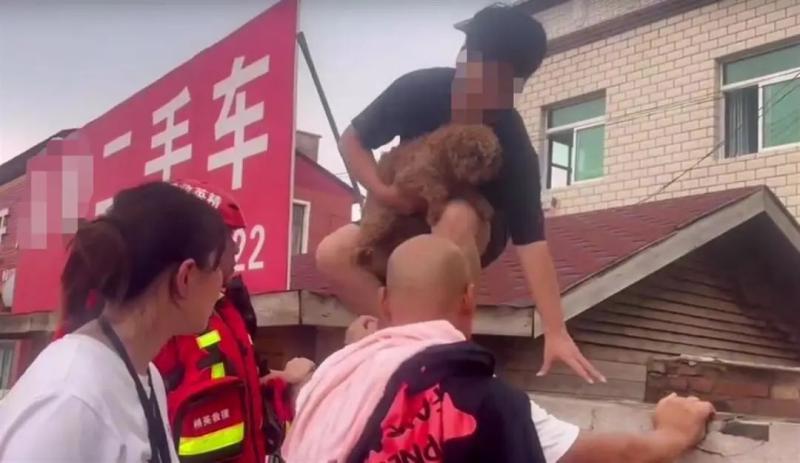 “涿州男子被救时折返救狗？”救援队回应视频|救援|涿州