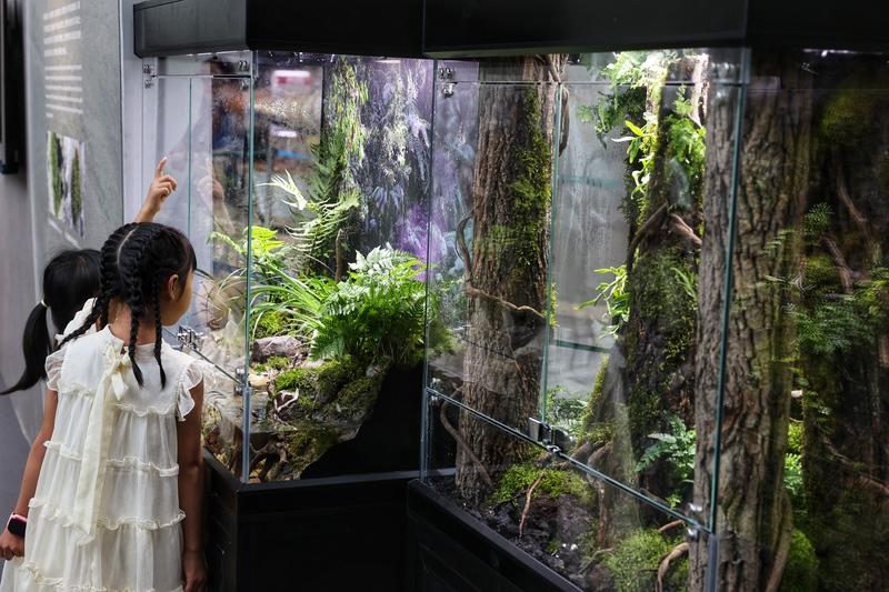 Take a spiritual rest journey coexisting with moss, and get close to the miniature jungle landscape atrium of the self museum | moss | jungle