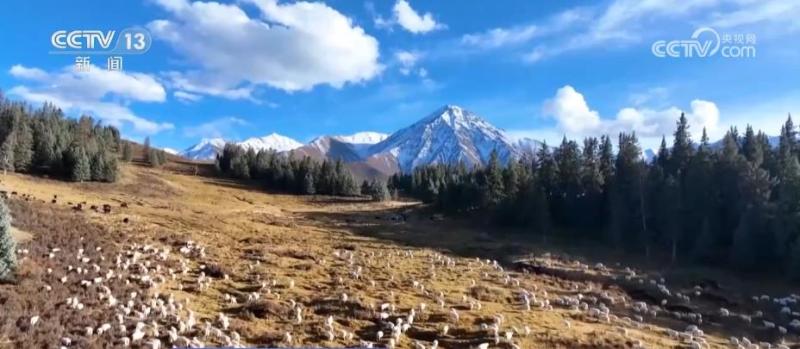 Significant achievements have been made in the construction of a beautiful China, achieving sustainable natural education inheritance population | National | Construction