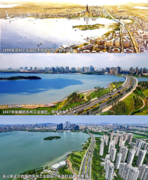 How was this "seven consecutive championships" industrial park refined? Suzhou Industrial Park