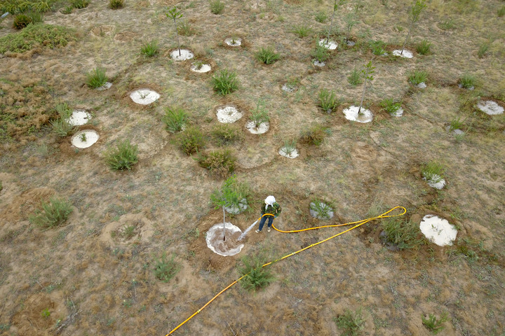 "Green Dyed" Homeland - Gansu Practice of Three Dimensional Sand Prevention and Control, Embracing Gulang County in Wuwei City | Babusha | Desert