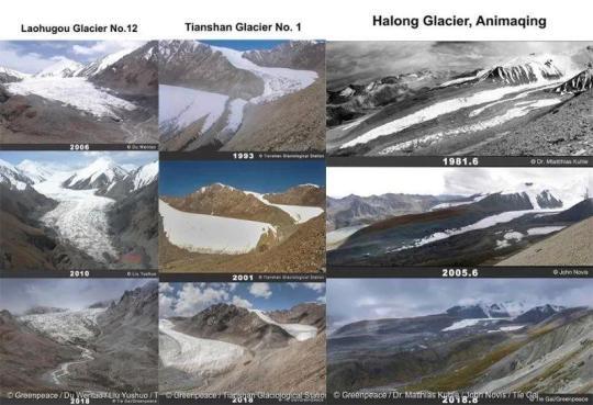 How to view the Qinghai Tibet Plateau changing from "high cold" to "wet warm"? Earth | Plateau | Qinghai Tibet Plateau