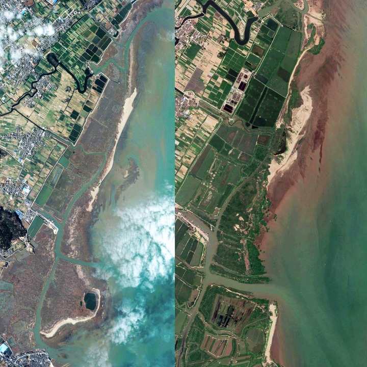 From Endangered to Reborn - Observation of the Butterfly Transformation in the Minjiang River Estuary Wetland over 20 Years | Wetlands | Minjiang River