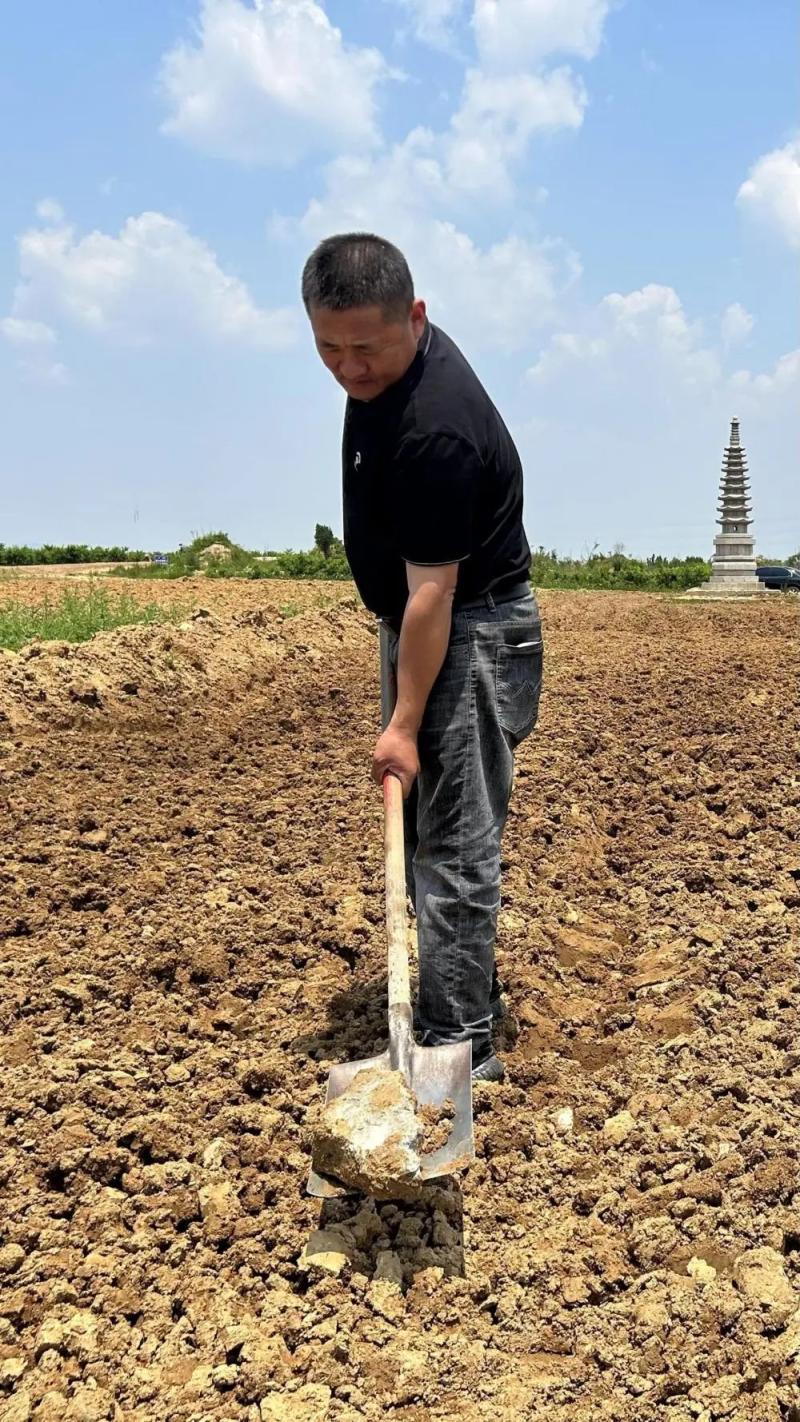 Investigation on the destruction of farmland and theft of sand and gravel at the border of Jiangsu and Shandong provinces: landfill of construction waste, sudden dumping of soil for reclamation. In the Huo family | farmland | garbage