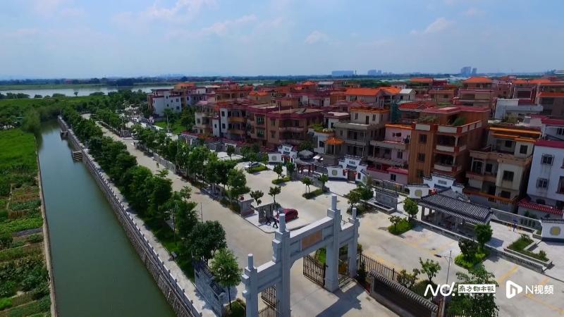 Revealing the "Butterfly Transformation" Password of Foshan Village, From "Problem Village" to "Advanced Village" Guangdong | High Quality | Password