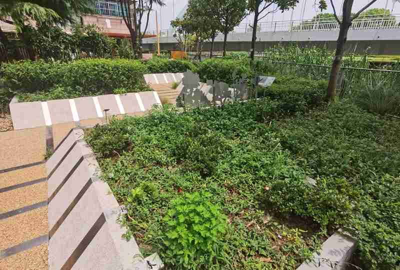 But planting local plants may not necessarily attract bees and butterflies. More and more gardens in Shanghai are losing their craftsmanship and becoming more vibrant. The city | plants | vitality